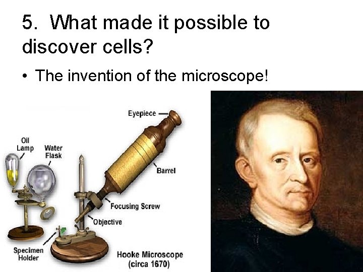 5. What made it possible to discover cells? • The invention of the microscope!