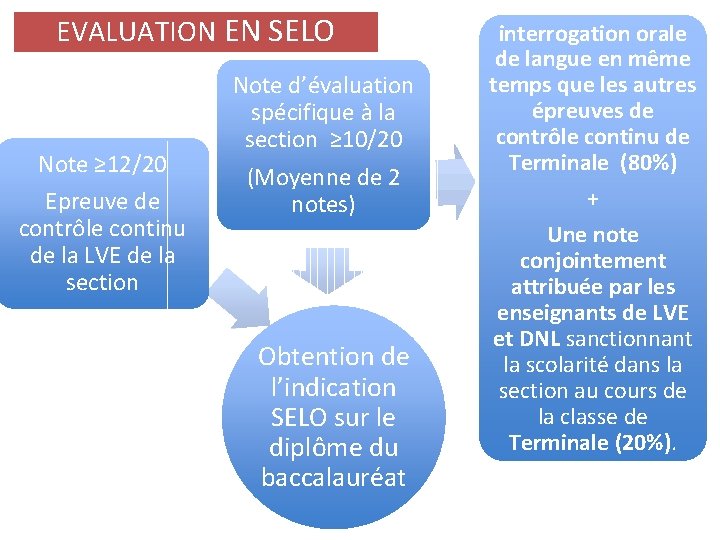 EVALUATION EN SELO Note ≥ 12/20 Epreuve de contrôle continu de la LVE de