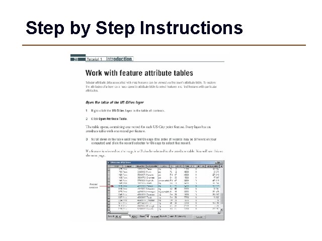 Step by Step Instructions 