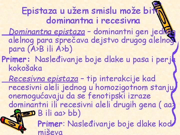 Epistaza u užem smislu može biti dominantna i recesivna Dominantna epistaza – dominantni gen