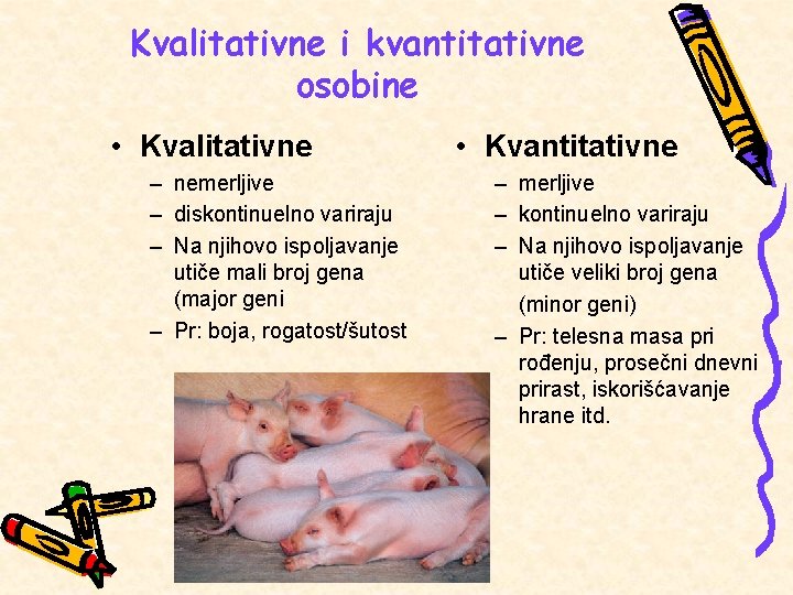 Kvalitativne i kvantitativne osobine • Kvalitativne – nemerljive – diskontinuelno variraju – Na njihovo