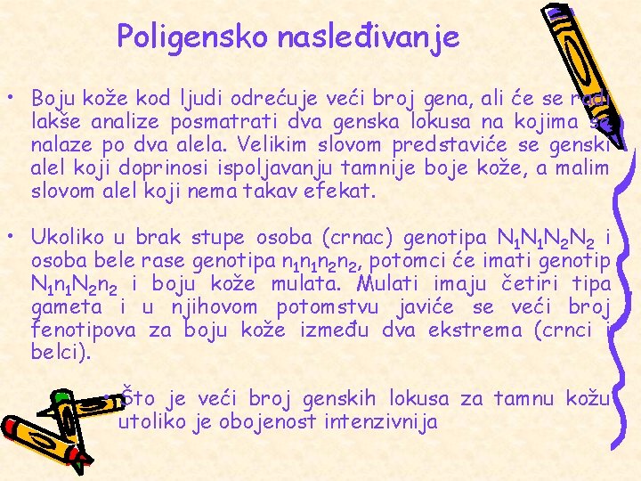 Poligensko nasleđivanje • Boju kože kod ljudi odrećuje veći broj gena, ali će se
