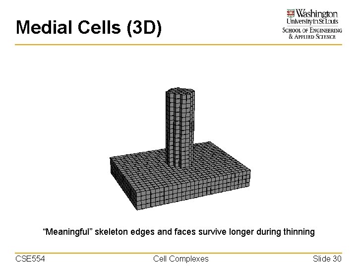 Medial Cells (3 D) “Meaningful” skeleton edges and faces survive longer during thinning CSE