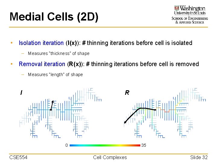 Medial Cells (2 D) • Isolation iteration (I(x)): # thinning iterations before cell is