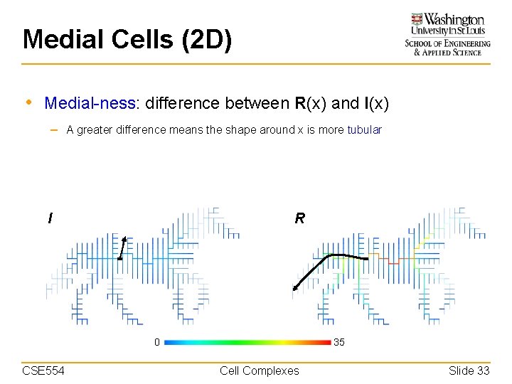 Medial Cells (2 D) • Medial-ness: difference between R(x) and I(x) – A greater