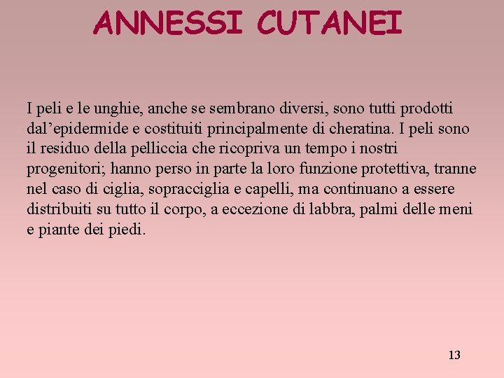 ANNESSI CUTANEI I peli e le unghie, anche se sembrano diversi, sono tutti prodotti