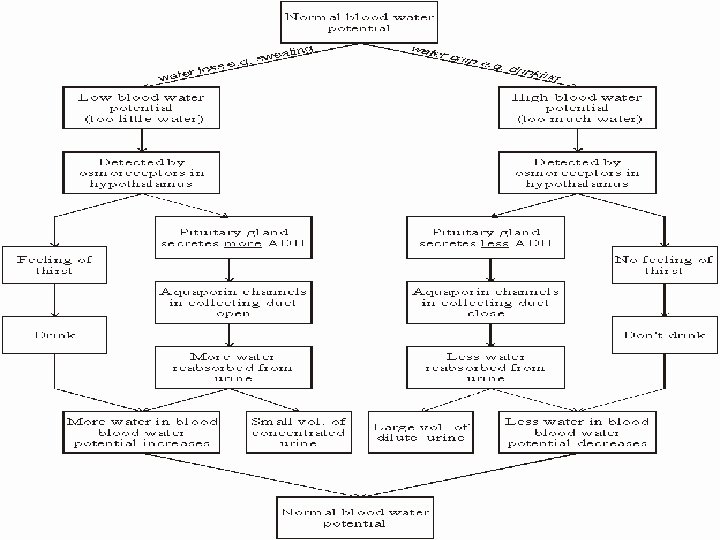  • http: //www. mrothery. co. uk/module 4/web notes/Image 15. gif 