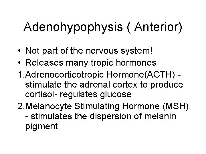 Adenohypophysis ( Anterior) • Not part of the nervous system! • Releases many tropic