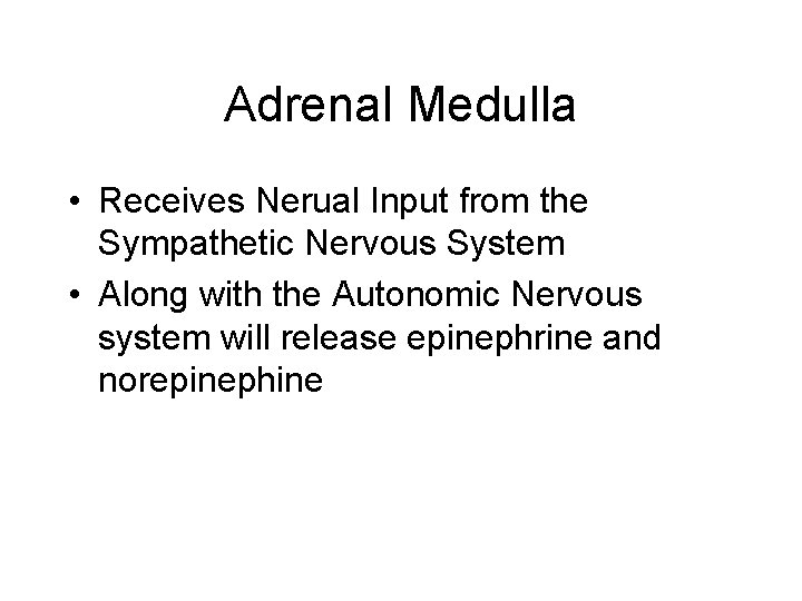 Adrenal Medulla • Receives Nerual Input from the Sympathetic Nervous System • Along with