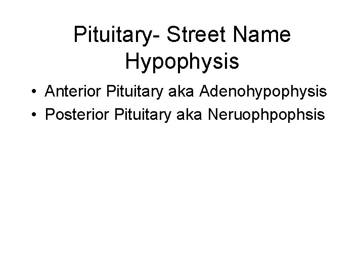 Pituitary- Street Name Hypophysis • Anterior Pituitary aka Adenohypophysis • Posterior Pituitary aka Neruophpophsis