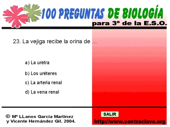 23. La vejiga recibe la orina de … a) La uretra b) Los uréteres