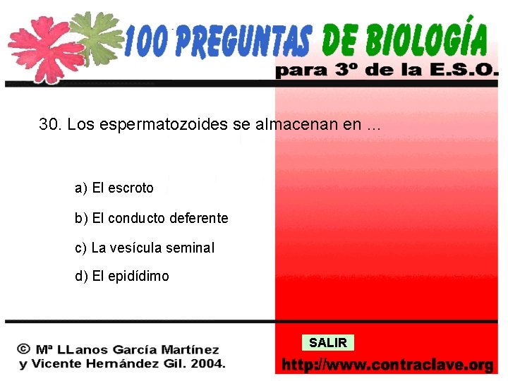 30. Los espermatozoides se almacenan en … a) El escroto b) El conducto deferente