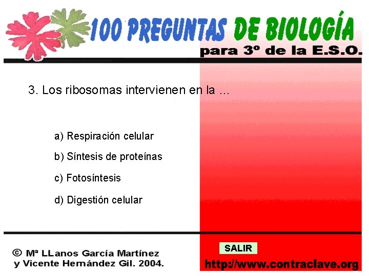 3. Los ribosomas intervienen en la … a) Respiración celular b) Síntesis de proteínas