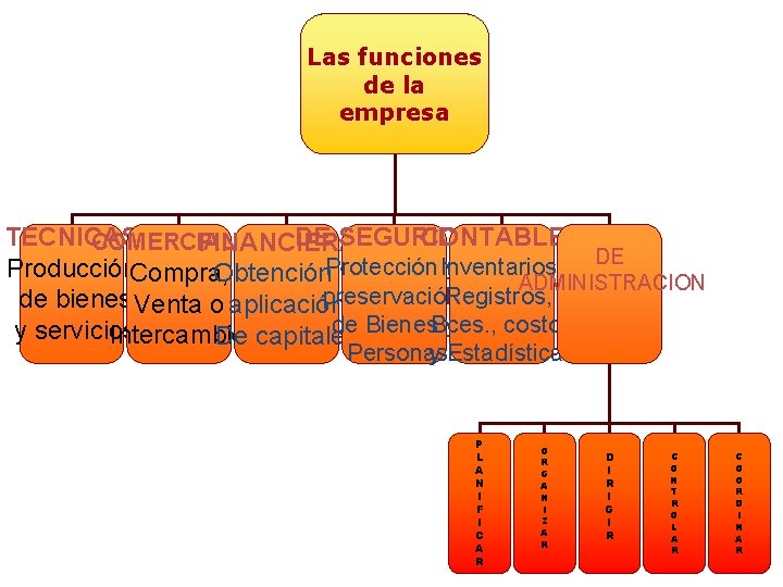 Las funciones de la empresa TECNICAS DE SEGURIDAD CONTABLES COMERCIALES FINANCIERAS DE Protección y