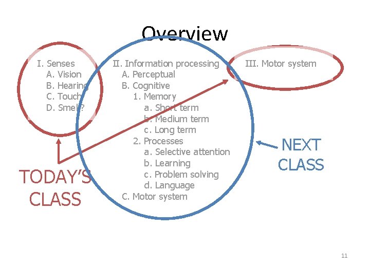 Overview I. Senses A. Vision B. Hearing C. Touch D. Smell? TODAY’S CLASS II.