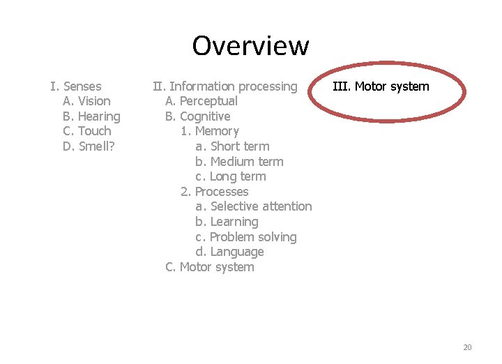 Overview I. Senses A. Vision B. Hearing C. Touch D. Smell? II. Information processing