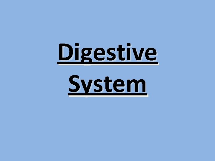 Digestive System Digestive System