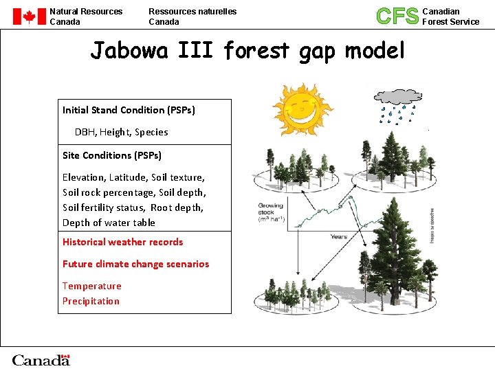 Natural Resources Canada Ressources naturelles Canada CFS Jabowa III forest gap model Initial Stand