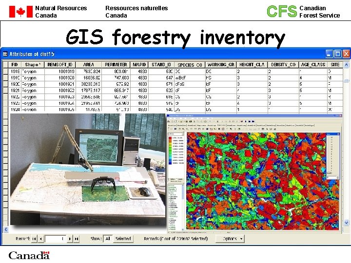 Natural Resources Canada Ressources naturelles Canada CFS GIS forestry inventory Canadian Forest Service 