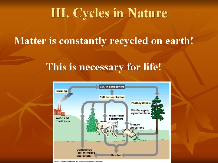 III. Cycles in Nature Matter is constantly recycled on earth! This is necessary for