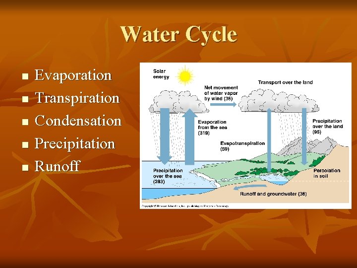 Water Cycle n n n Evaporation Transpiration Condensation Precipitation Runoff 