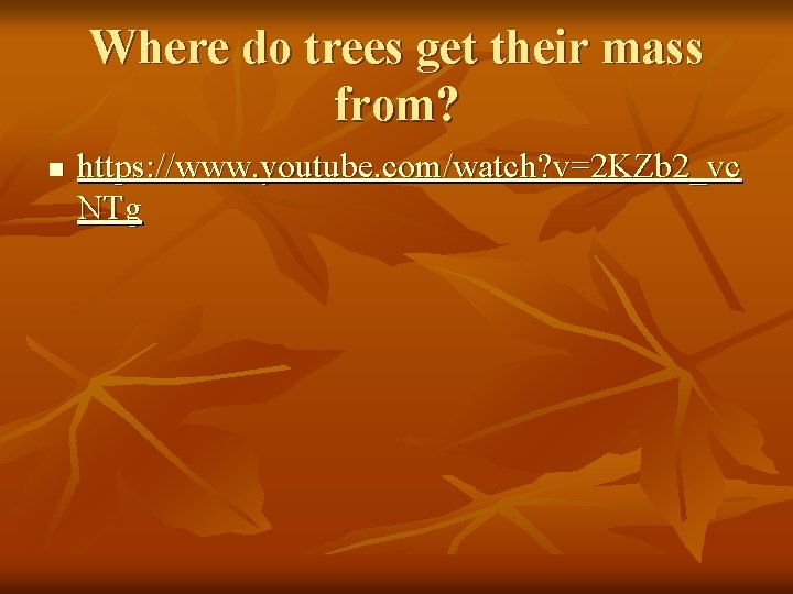 Where do trees get their mass from? n https: //www. youtube. com/watch? v=2 KZb