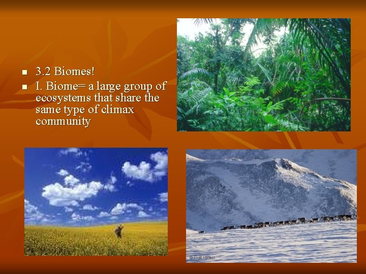 n n 3. 2 Biomes! I. Biome= a large group of ecosystems that share