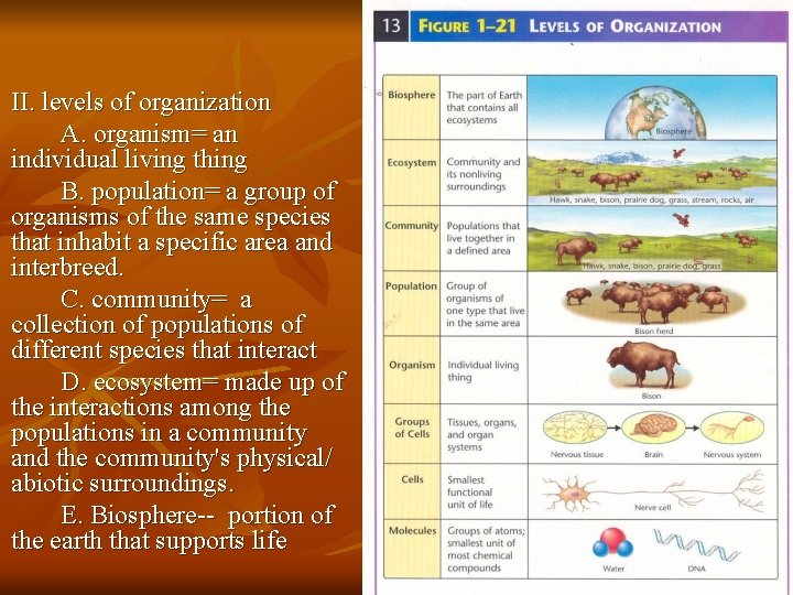 II. levels of organization A. organism= an individual living thing B. population= a group