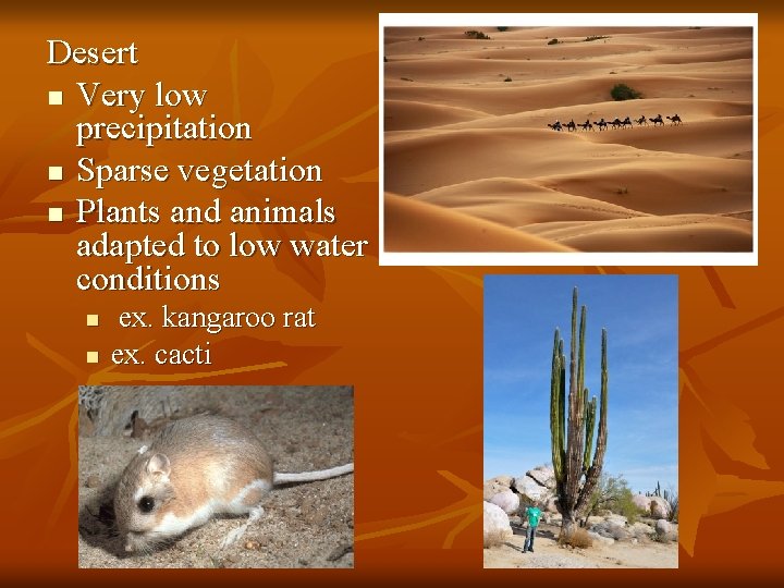 Desert n Very low precipitation n Sparse vegetation n Plants and animals adapted to