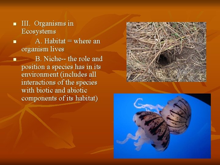 n n n III. Organisms in Ecosystems A. Habitat = where an organism lives