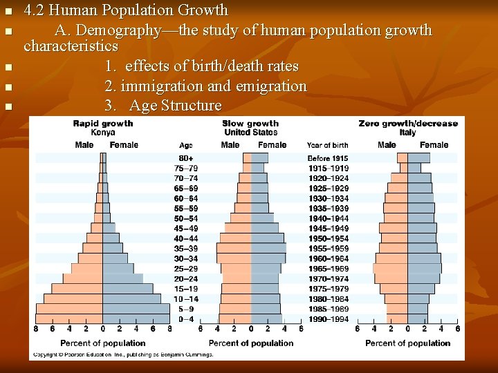 n n n 4. 2 Human Population Growth A. Demography—the study of human population