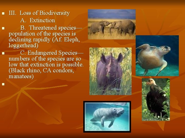 n n III. Loss of Biodiversity A. Extinction B. Threatened species— population of the