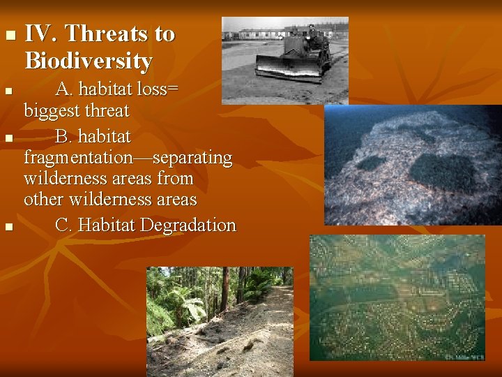 n n IV. Threats to Biodiversity A. habitat loss= biggest threat B. habitat fragmentation—separating