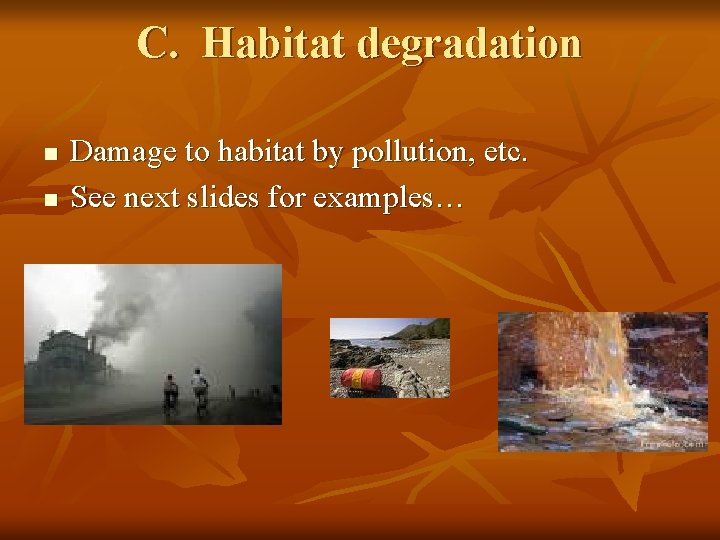C. Habitat degradation n n Damage to habitat by pollution, etc. See next slides