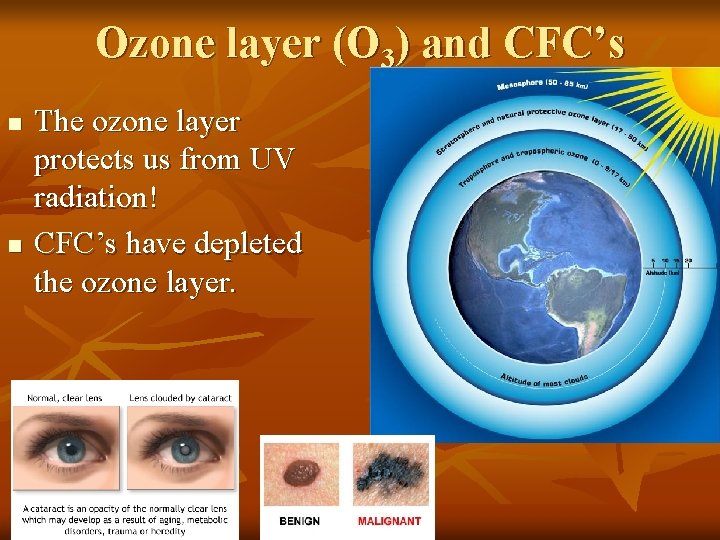 Ozone layer (O 3) and CFC’s n n The ozone layer protects us from