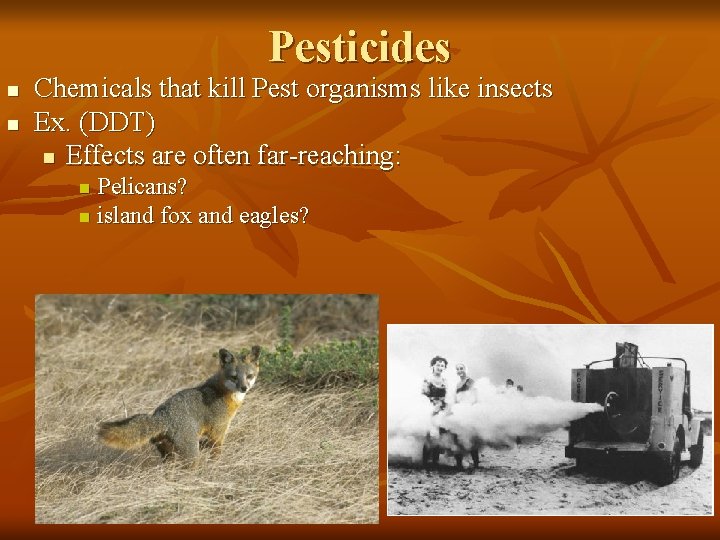 Pesticides n n Chemicals that kill Pest organisms like insects Ex. (DDT) n Effects