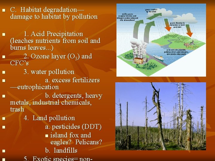 n n n n n C. Habitat degradation— damage to habitat by pollution 1.