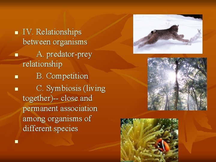 n n n IV. Relationships between organisms A. predator-prey relationship B. Competition C. Symbiosis