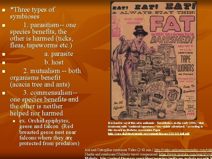 n n n *Three types of symbioses 1. parasitism-- one species benefits, the other