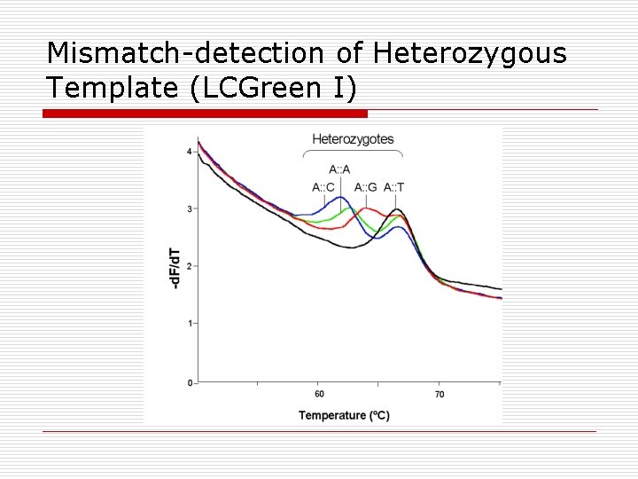 Mismatch-detection of Heterozygous Template (LCGreen I) 