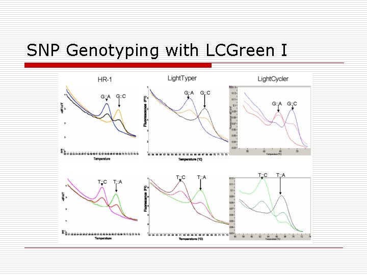 SNP Genotyping with LCGreen I 