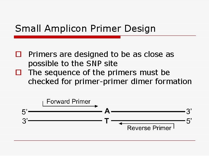 Small Amplicon Primer Design ¨ Primers are designed to be as close as possible