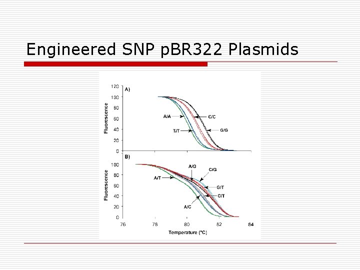 Engineered SNP p. BR 322 Plasmids 