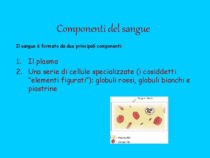 Componenti del sangue Il sangue è formato da due principali componenti: 1. Il plasma