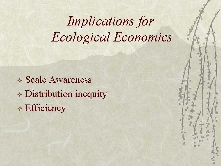Implications for Ecological Economics Scale Awareness v Distribution inequity v Efficiency v 