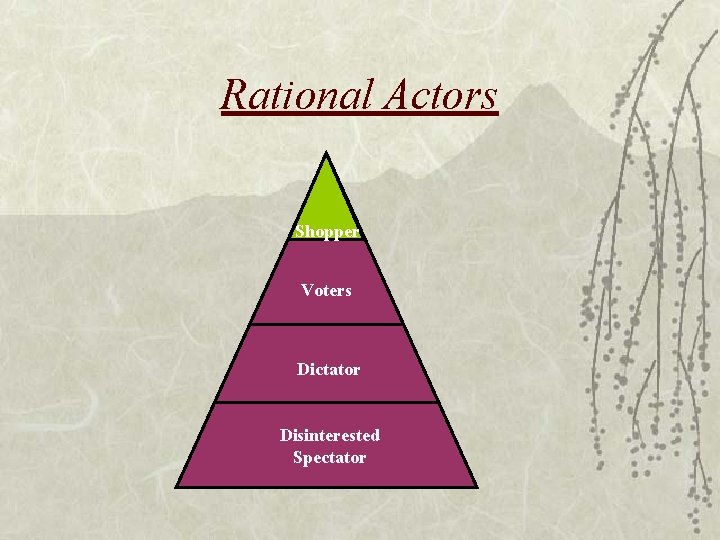 Rational Actors Shopper Voters Dictator Disinterested Spectator 