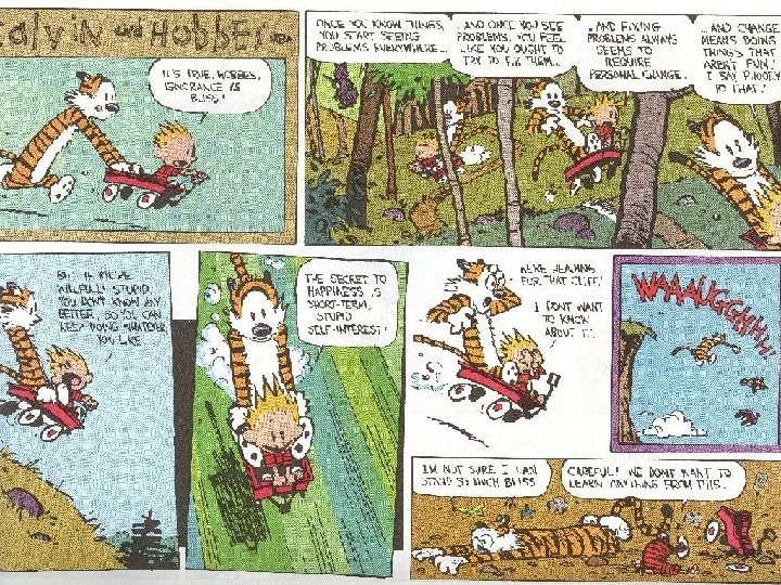 Calvin and Hobbs Shopper Voters Dictator Disinterested Spectator 