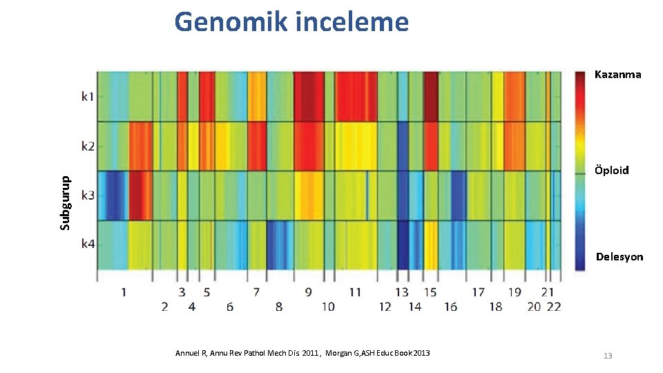 Genomik inceleme Kazanma Subgurup Öploid Delesyon Annuel R, Annu Rev Pathol Mech Dis. 2011,