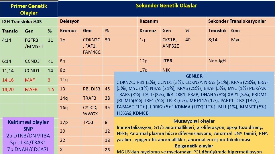GENLER CDKN 2 C, RB 1 (3%), CCND 1 (3%), CDKN 2 A NRAS