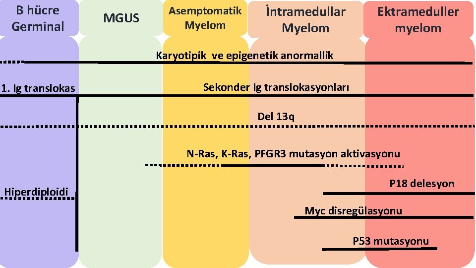 B hücre Germinal MGUS Asemptomatik Myelom İntramedullar Myelom Ektrameduller myelom Karyotipik ve epigenetik anormallik